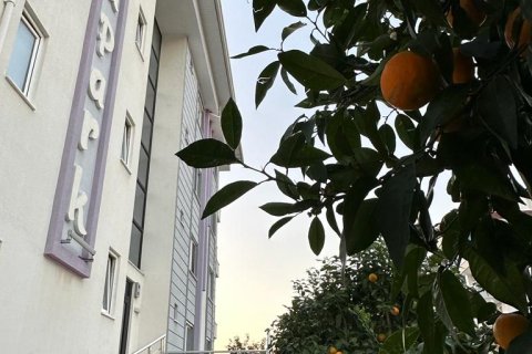 2+1 Apartment in Kestel, Turkey No. 14377 16