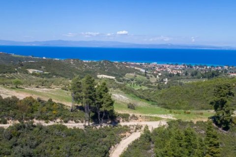 4 bedrooms Villa in Chalkidiki, Greece No. 55539 14