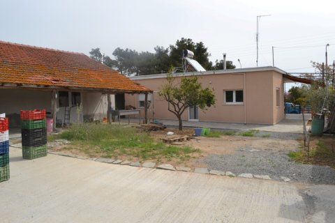 3 bedrooms Villa in Chalkidiki, Greece No. 50265 14