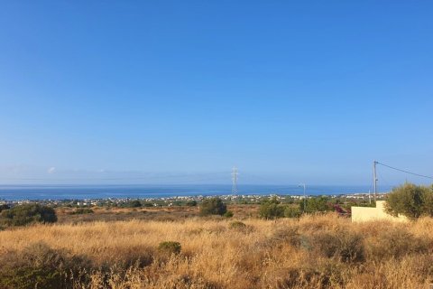 58000m² Land in Heraklion, Greece No. 56255 3