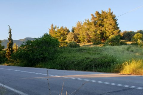 29486m² Land en Euboea, Greece No. 56252 5