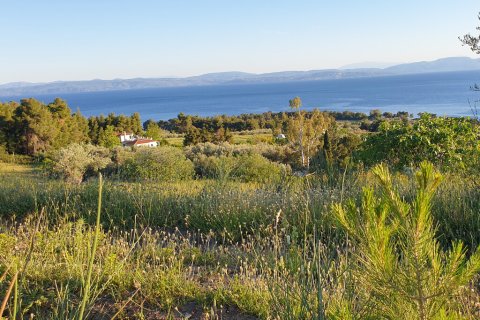 29486m² Land en Euboea, Greece No. 56252 3