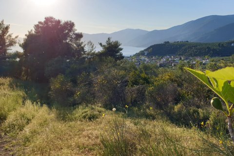 29486m² Land en Euboea, Greece No. 56252 4