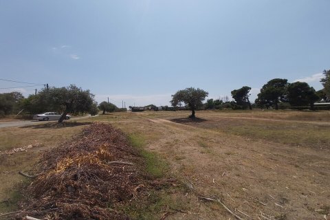 5000m² Land in Chalkidiki, Greece No. 56251 1