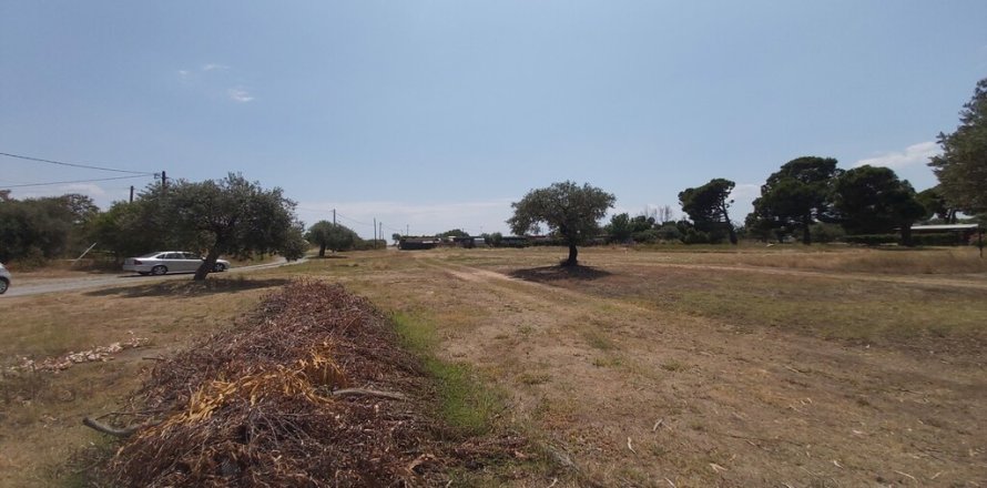 5000m² Land in Chalkidiki, Greece No. 56251