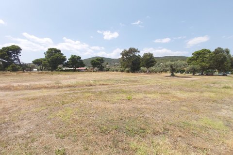 5000m² Land en Chalkidiki, Greece No. 56251 3