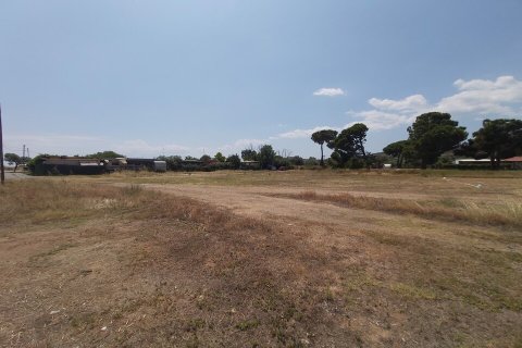 5000m² Land en Chalkidiki, Greece No. 56251 6