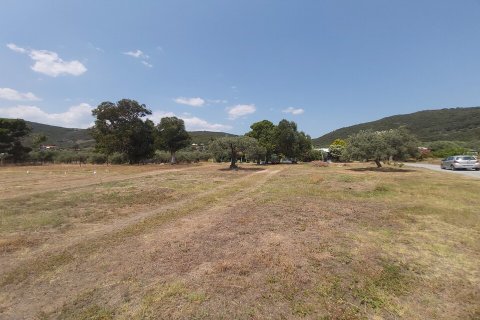 5000m² Land in Chalkidiki, Greece No. 56251 5