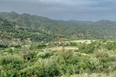 25284m² Land à Troodos, Cyprus No. 45772 1