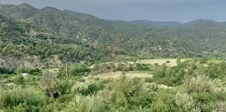 25284m² Land in Troodos, Cyprus No. 45772