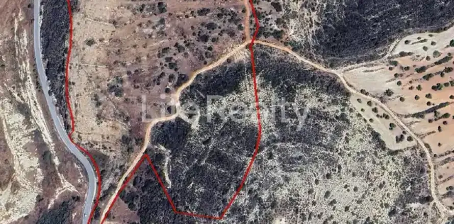 50019m² Land à Paramytha, Cyprus No. 45771