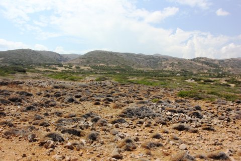 22000m² Land in Agios Nikolaos, Greece No. 59503 2