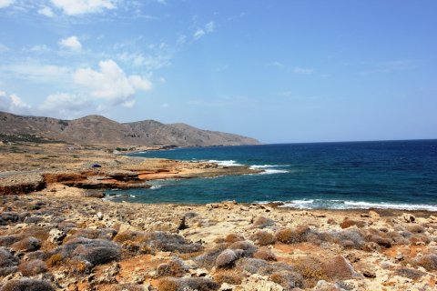 22000m² Land in Agios Nikolaos, Greece No. 59503 3