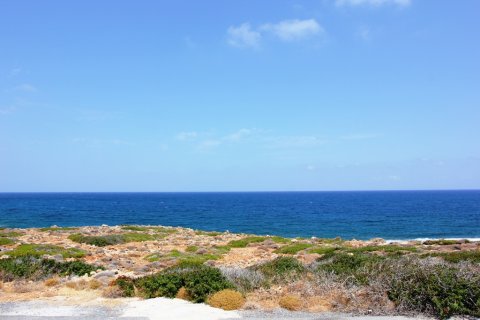 22000m² Land in Agios Nikolaos, Greece No. 59503 5