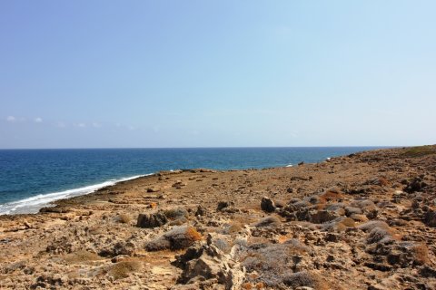 22000m² Land in Agios Nikolaos, Greece No. 59503 4