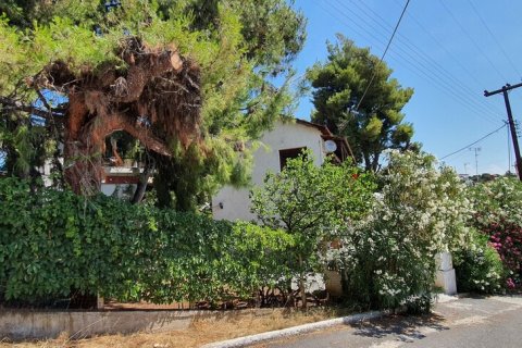 3 chambres House à Polygyros, Greece No. 56281 7