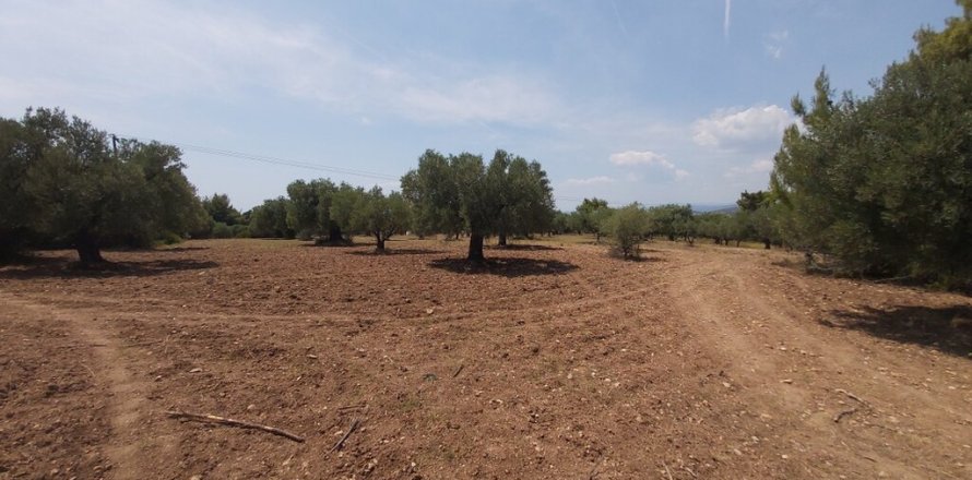 8000m² Land en Chalkidiki, Greece No. 56279