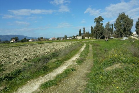 120000m² Land in Zakynthos, Greece No. 59283 3