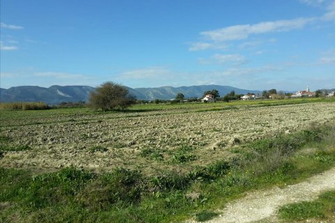 120000m² Land in Zakynthos, Greece No. 59283 2