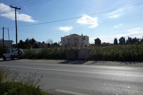 120000m² Land in Zakynthos, Greece No. 59283 9