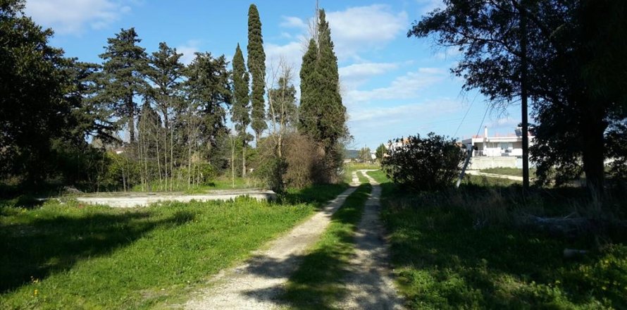 120000m² Land in Zakynthos, Greece No. 59283