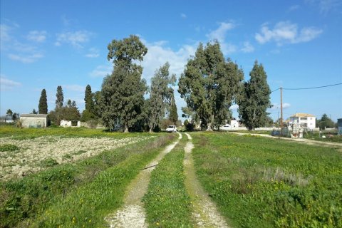 120000m² Land à Zakynthos, Greece No. 59283 7