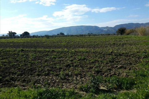 120000m² Land in Zakynthos, Greece No. 59283 4