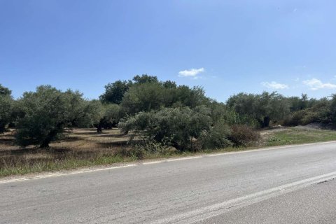 Land in Zakynthos, Greece No. 69533 22