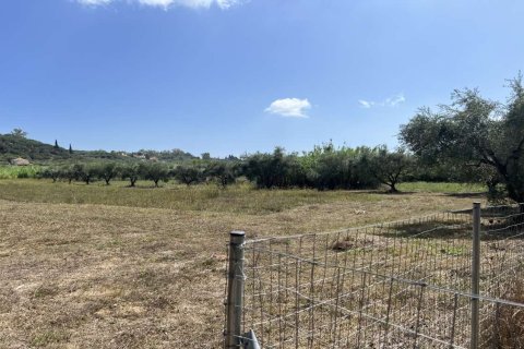 Land in Zakynthos, Greece No. 69533 12