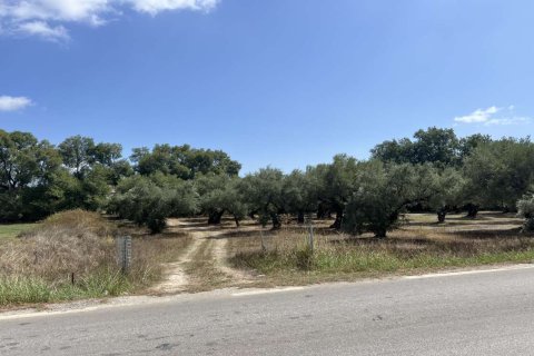 Land in Zakynthos, Greece No. 69533 7