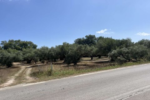 Land in Zakynthos, Greece No. 69533 6