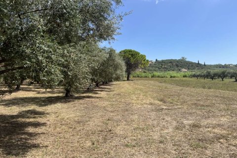 Land in Zakynthos, Greece No. 69533 17