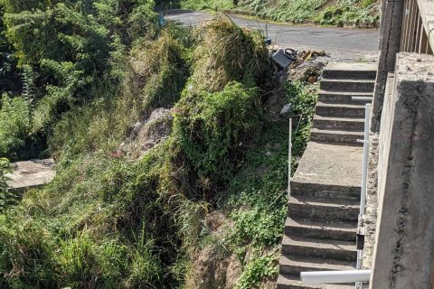 5 chambres Commercial property à Roseau, Dominica No. 66252 22