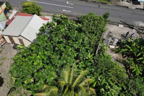 1 chambre Bungalow à Portsmouth, Dominica No. 66247 25