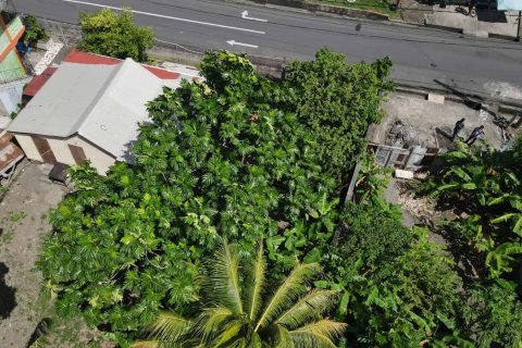 1 chambre Bungalow à Portsmouth, Dominica No. 66247 24