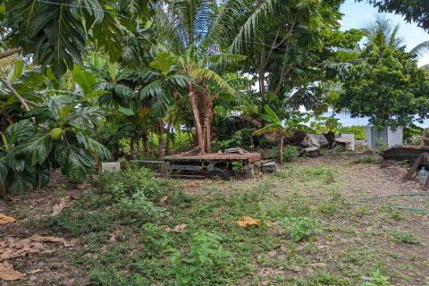 1 bedroom Bungalow in Portsmouth, Dominica No. 66247 10