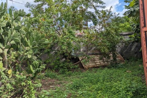 1 chambre Bungalow à Portsmouth, Dominica No. 66247 15