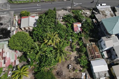 1 chambre Bungalow à Portsmouth, Dominica No. 66247 23