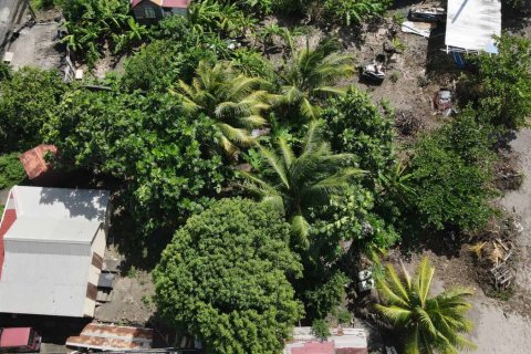 1 chambre Bungalow à Portsmouth, Dominica No. 66247 20