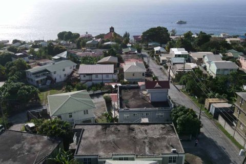 6 dormitorios Commercial property en Pointe Michel, Dominica No. 66246 21