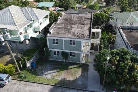 6 dormitorios Commercial property en Pointe Michel, Dominica No. 66246 17