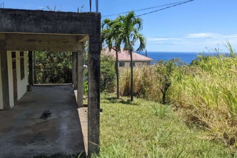 1 chambre House à Loubiere, Dominica No. 66250 11