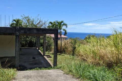 1 chambre House à Loubiere, Dominica No. 66250 10