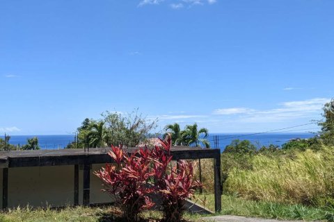 1 chambre House à Loubiere, Dominica No. 66250 9