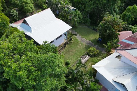 7 bedrooms Commercial property in Stowe, Dominica No. 66249 15