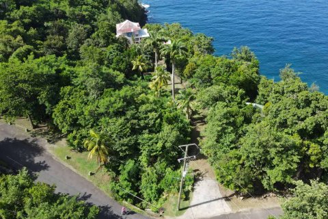 7 dormitorios Commercial property en Stowe, Dominica No. 66249 7