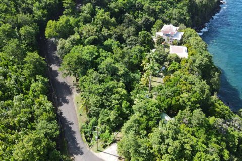 7 bedrooms Commercial property in Stowe, Dominica No. 66249 9