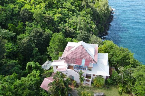 7 dormitorios Commercial property en Stowe, Dominica No. 66249 25