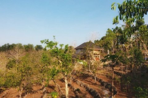 3 bedrooms Villa in Nusa Penida, Indonesia No. 23151 23