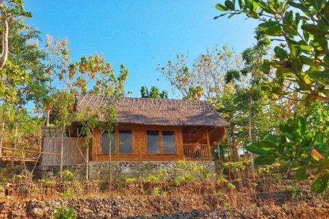 3 bedrooms Villa in Nusa Penida, Indonesia No. 23151 10